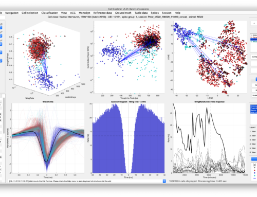 CellExplorer: framework for single cell classification
