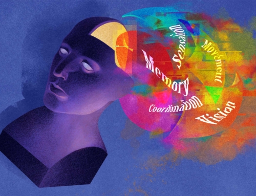 “The Brain Doesn’t Think the Way You Think It Does” – a podcast version