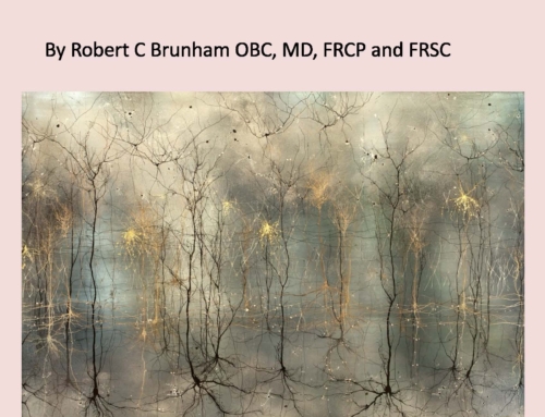A thoughtful essay about the evolution, structure and function of the brain by Robert C Brunham